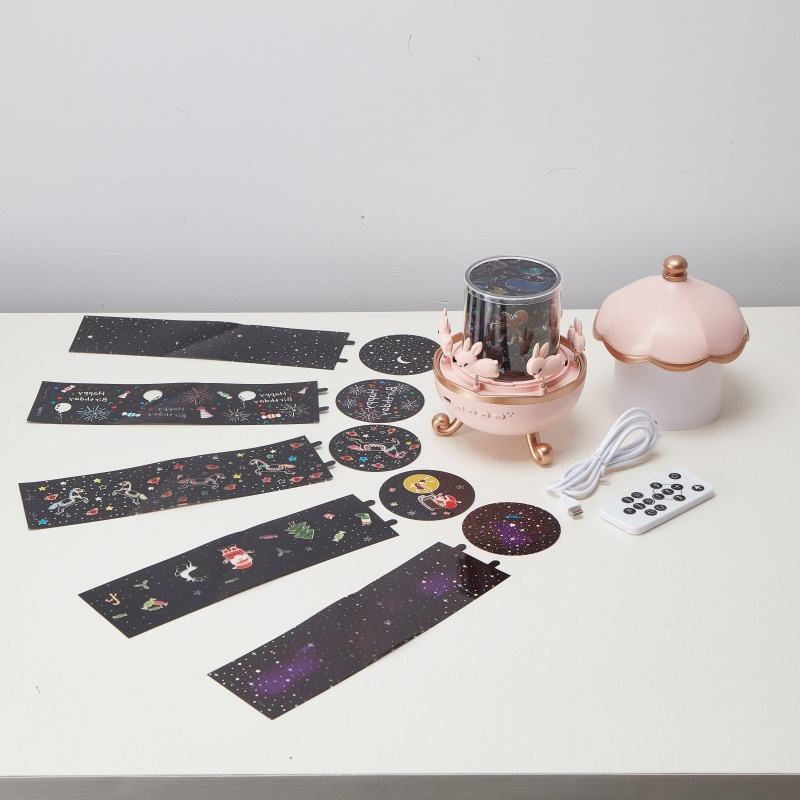 Carousel Projector Lamp